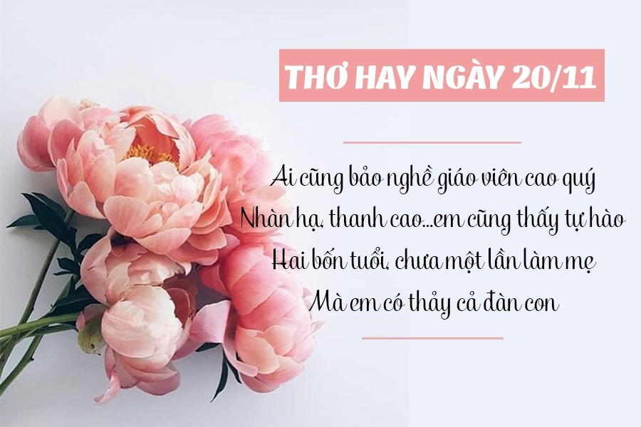 Gợi ý các bài thơ hiện đại đầy cảm hứng về thầy cô 